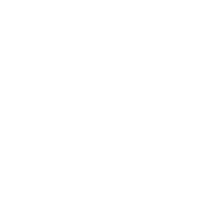 {translation.thinkshield-overview.bugs.0.hl}