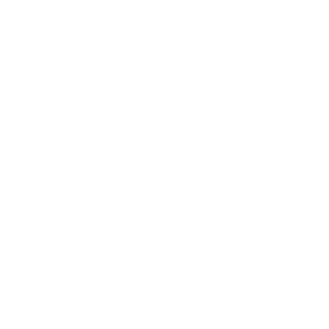 {translation.thinkshield-overview.bugs.2.hl}