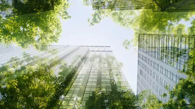 Sustainability