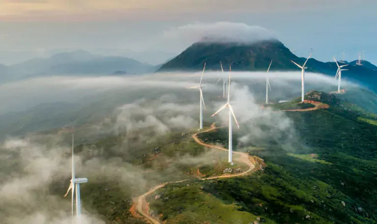 Simplify carbon offset and sustain business growth