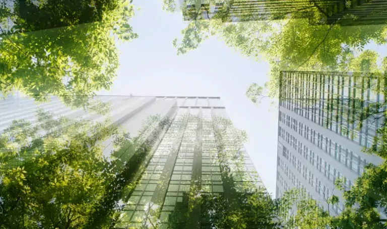 Sustainability