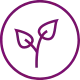 icon-eco-friendly