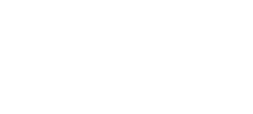 Windows 11