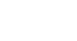 Windows 11