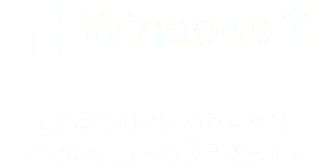 Windows 11