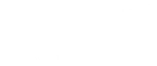 windows 11